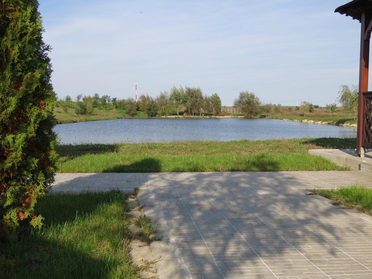 Conacul De Pe Lac Sagu Ngoại thất bức ảnh